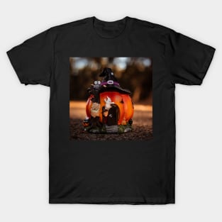 The witch house T-Shirt